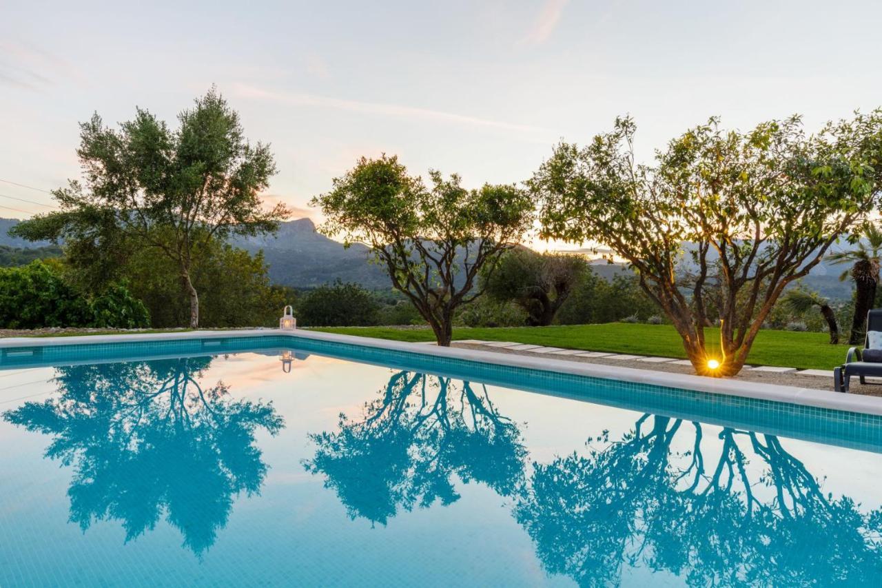 Tortet Villa Pollença
