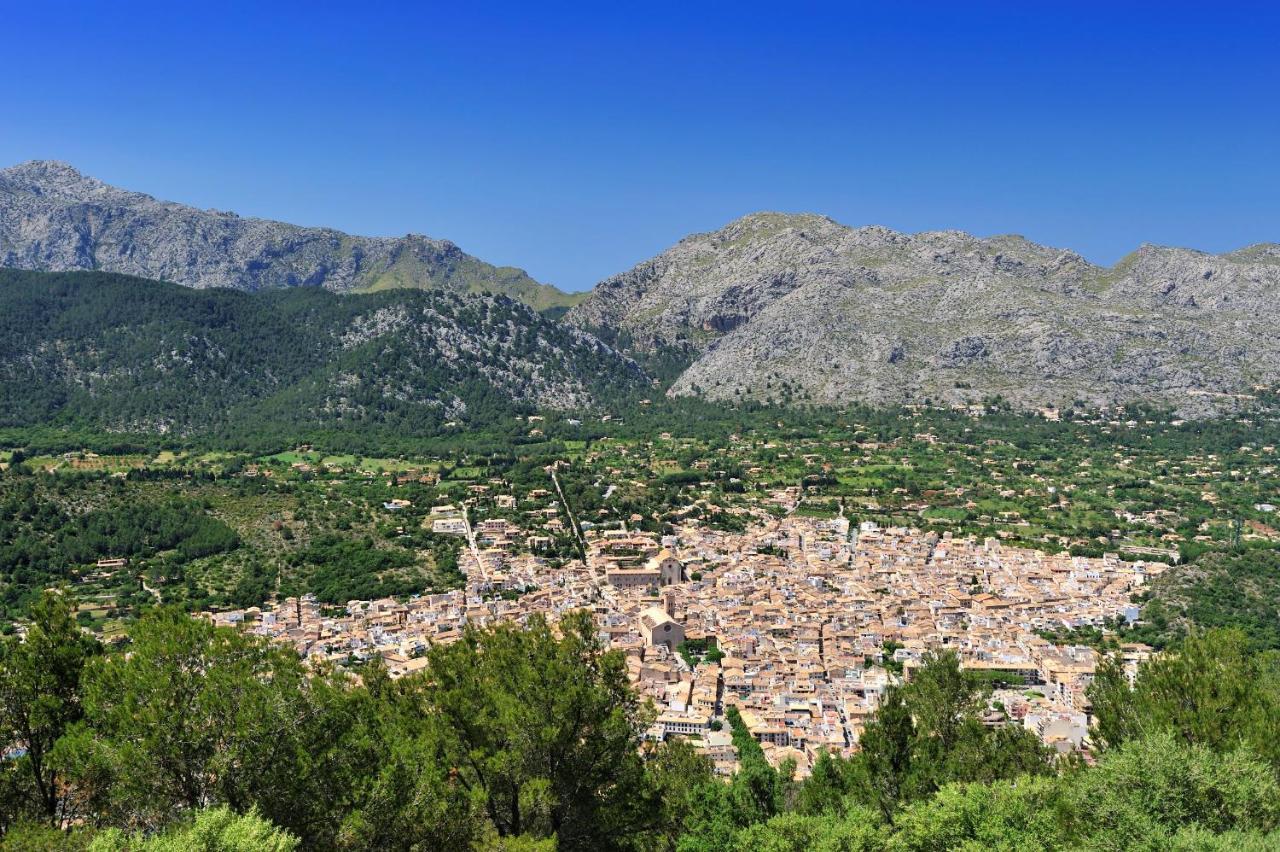 Tortet Pollença